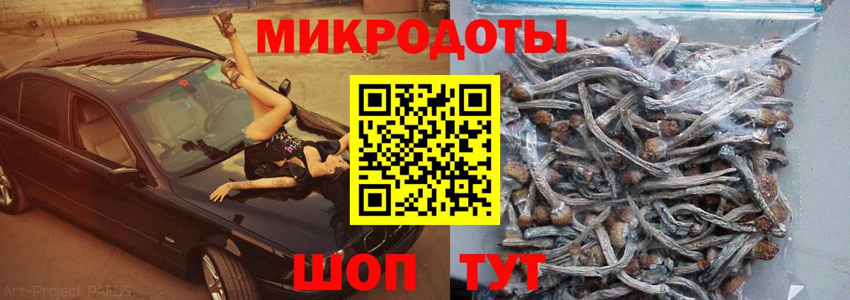Галлюциногенные грибы мухоморы  Вход с VPN  Будённовск 